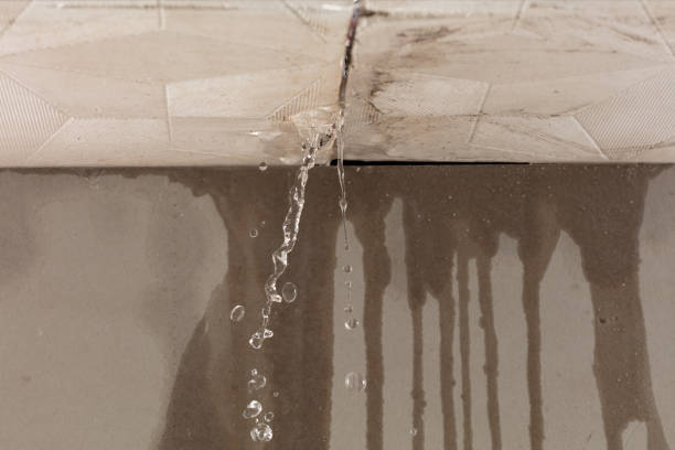 Professional Structural Drying technician working in Avon Lake, OH